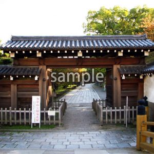 和歌山城2の画像