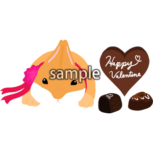 チョコとうさぎの画像