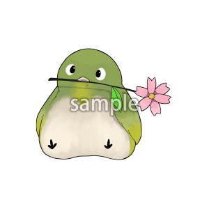 桜　鳥の画像