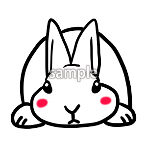 白うさぎの画像