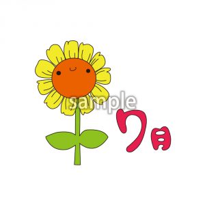 ひまわりの画像