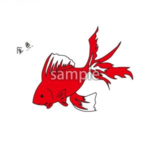 金魚の画像