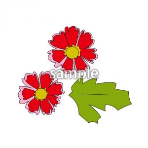 コスモスの画像