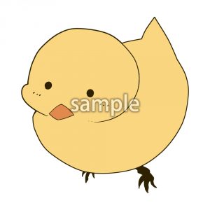 ひよこの画像