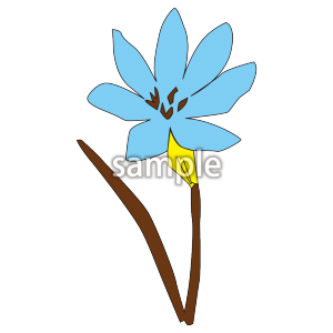 たむしばの画像