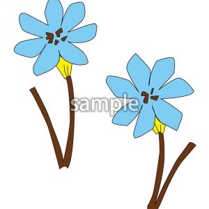 たむしばの画像