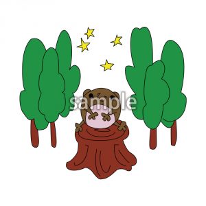 くまさん　森　星空の画像