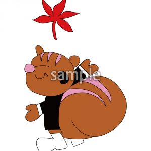 りす　紅葉の画像