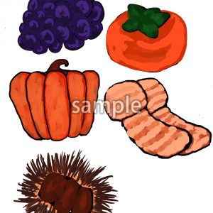 秋の味覚の画像