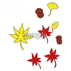 秋の植物の画像