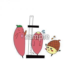 秋背くらべの画像