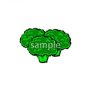 ブロッコリーの画像