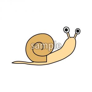 かたつむりの画像