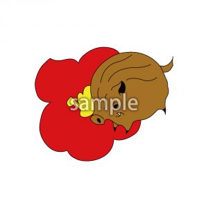 イノシシの画像