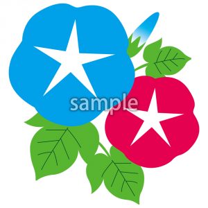 あさがおの画像