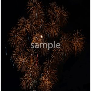 打ち上げ花火7の画像