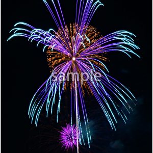 打ち上げ花火8　の画像