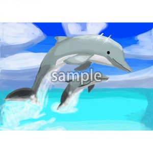 イルカの画像