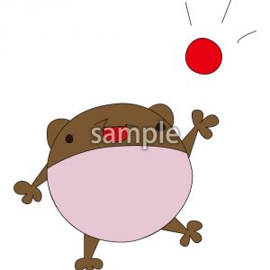 マメクマ1の画像