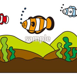 優雅に泳ぐクマノミの画像