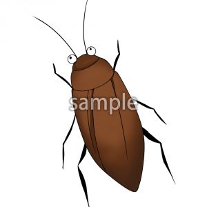 ゴキブリの画像