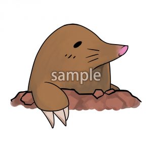 もぐらの画像