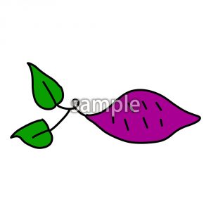 さつまいもの画像