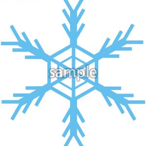 雪の結晶5の画像