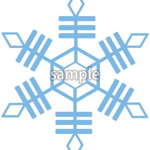 雪の結晶6の画像