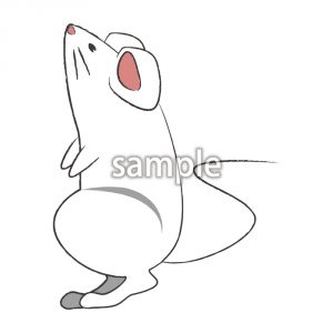 白ネズミ01の画像