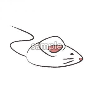 白ネズミ02の画像