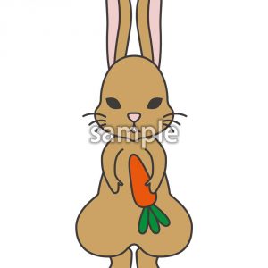 うさぎの画像