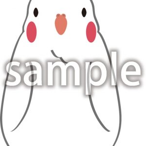 オカメインコ04の画像