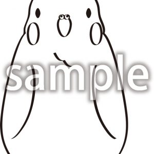 オカメインコ05の画像