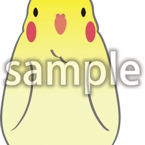 オカメインコの画像