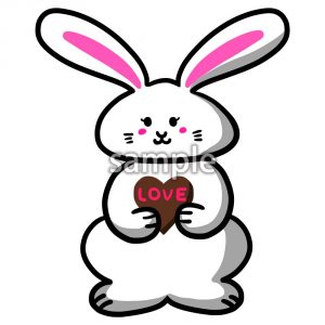 うさぎとチョコの画像