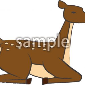 座る鹿夏毛メスの画像