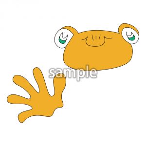 カエル3の画像