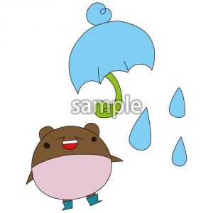マメクマと雨の画像