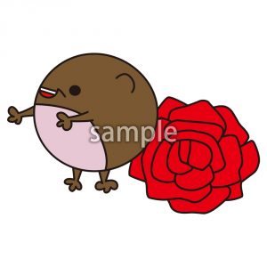 マメクマと薔薇の画像