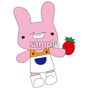 うさぴょんの画像