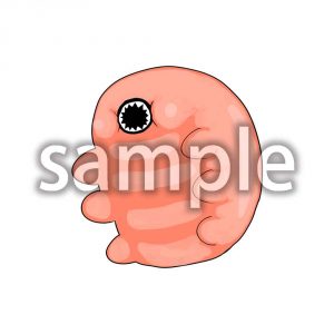 クマムシの画像