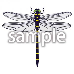 トンボ（オニヤンマ）の画像