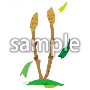 つくしの画像