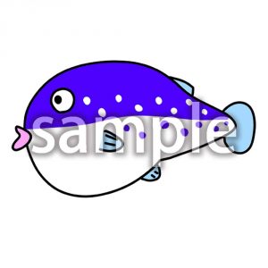 河豚（フグ）の画像