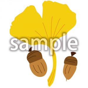 イチョウとどんぐりの画像