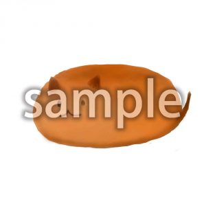 ネコパンの画像