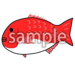 鯛の画像