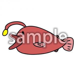 アンコウの画像