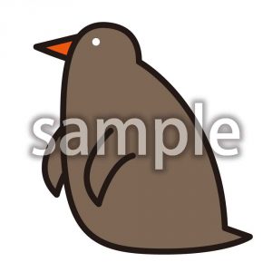 赤ちゃんぺんぎんの画像